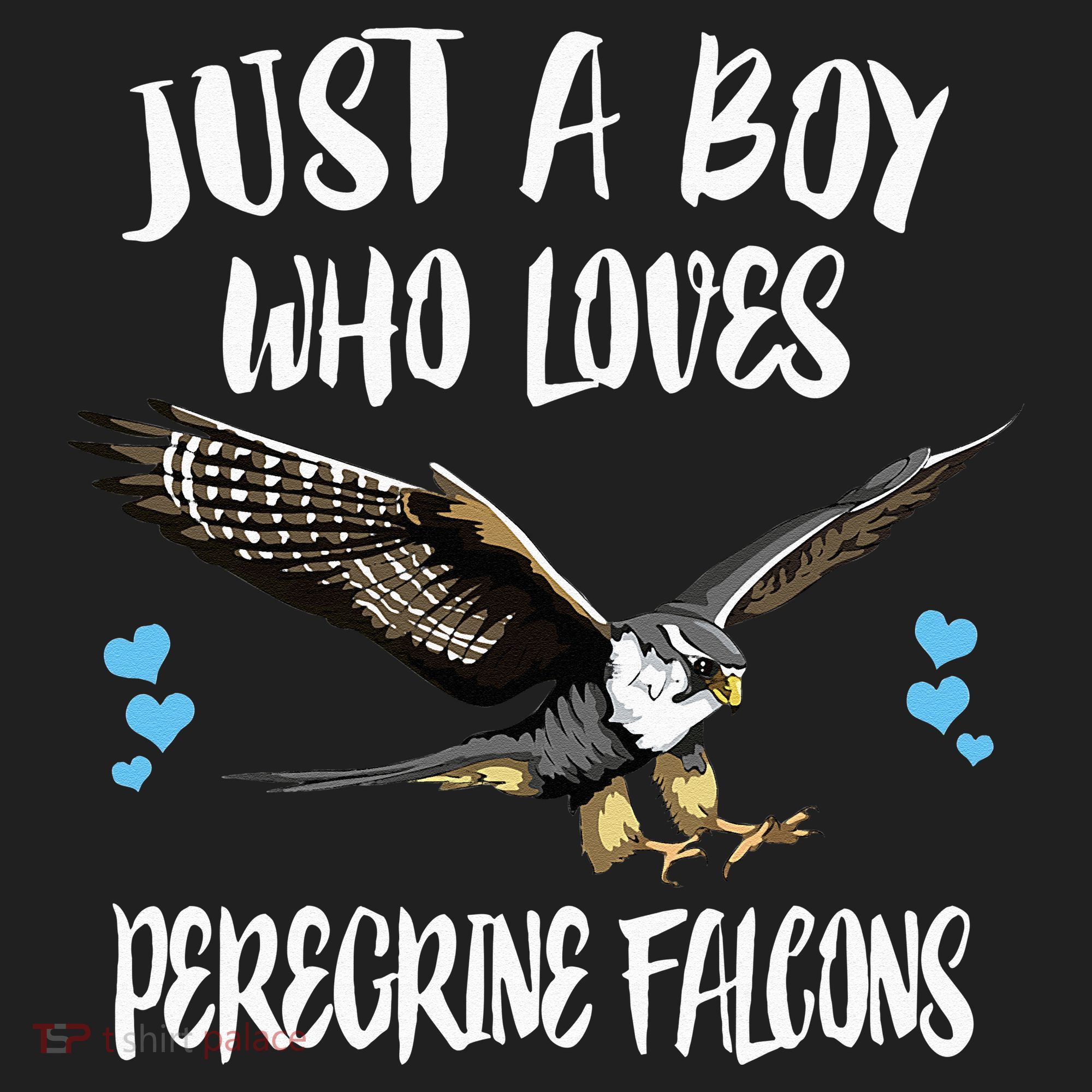Just A Who Loves Peregrine Falcons Birds Women's Sweatshirt