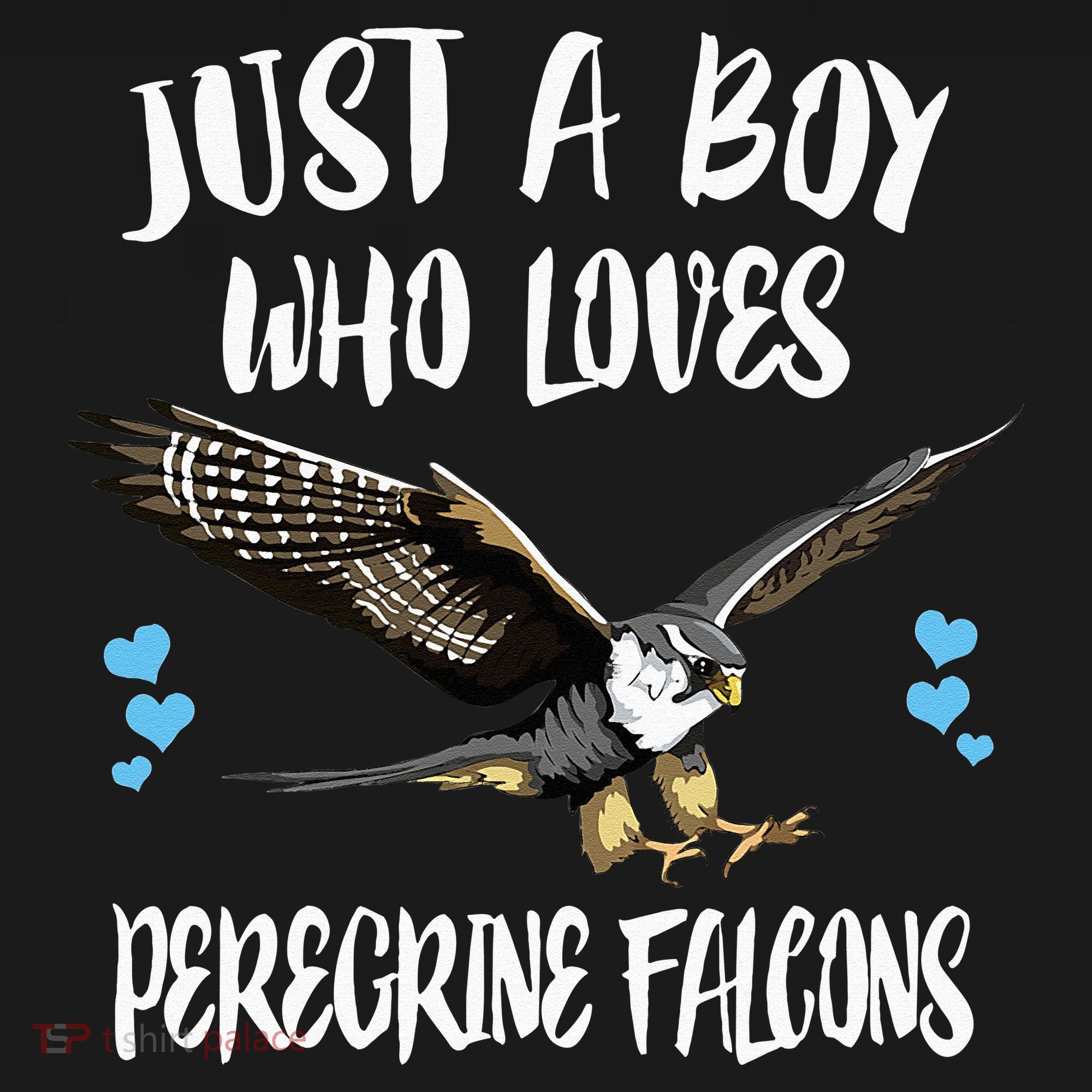 Just A Who Loves Peregrine Falcons Birds Pajama Set