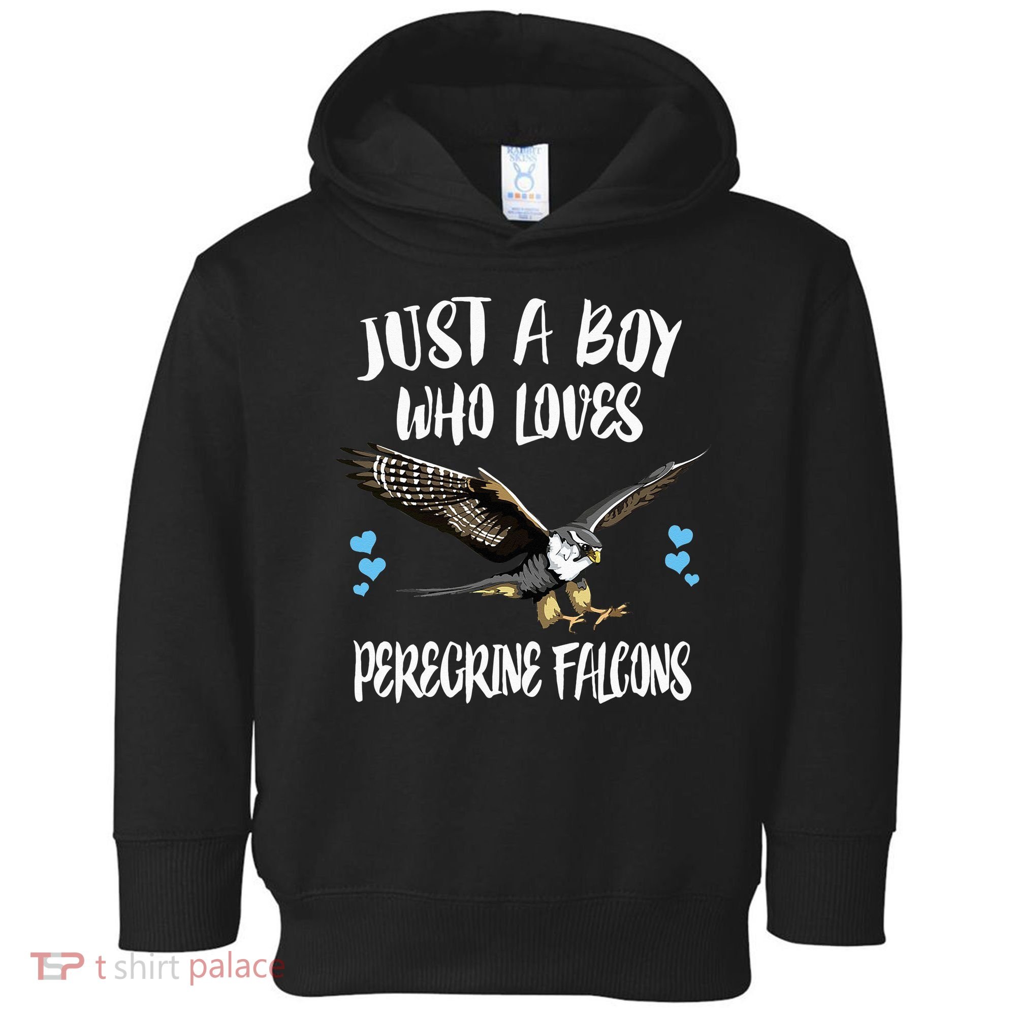 Just A Who Loves Peregrine Falcons Birds Toddler Hoodie
