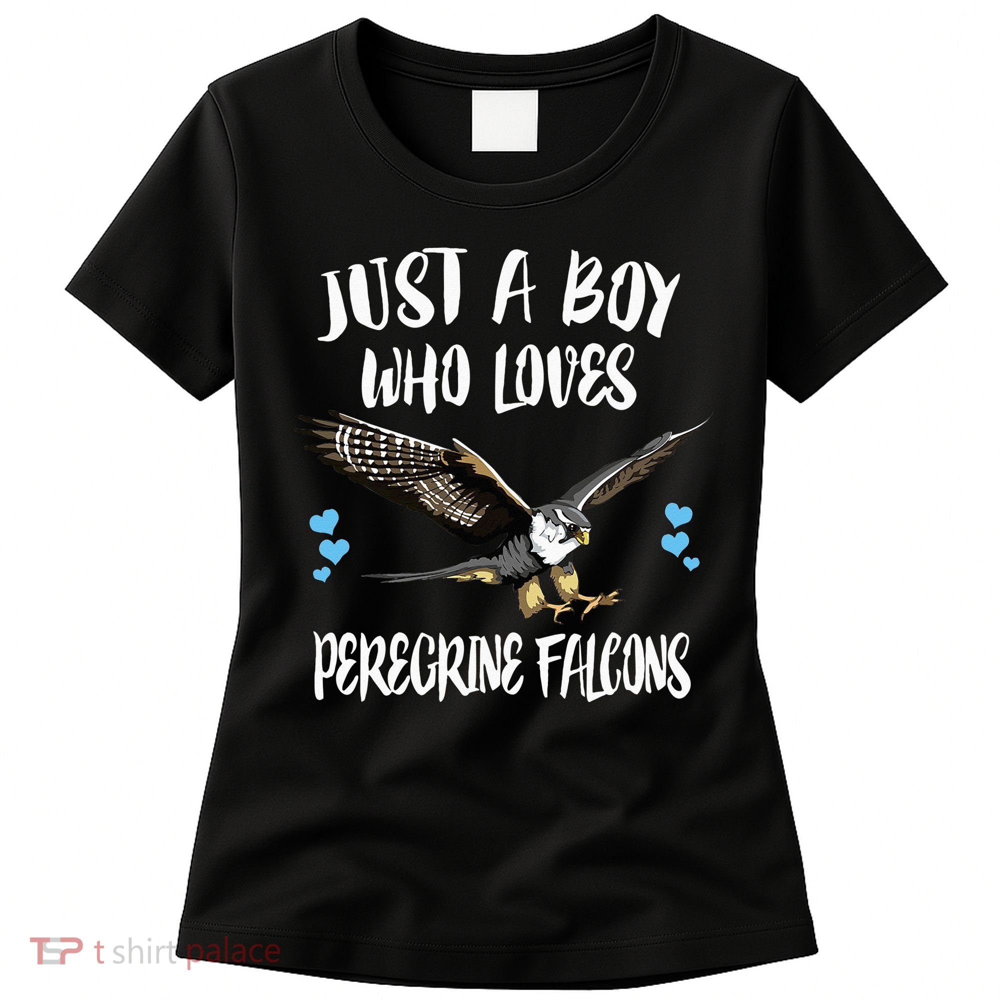 Just A Who Loves Peregrine Falcons Birds Women's T-Shirt
