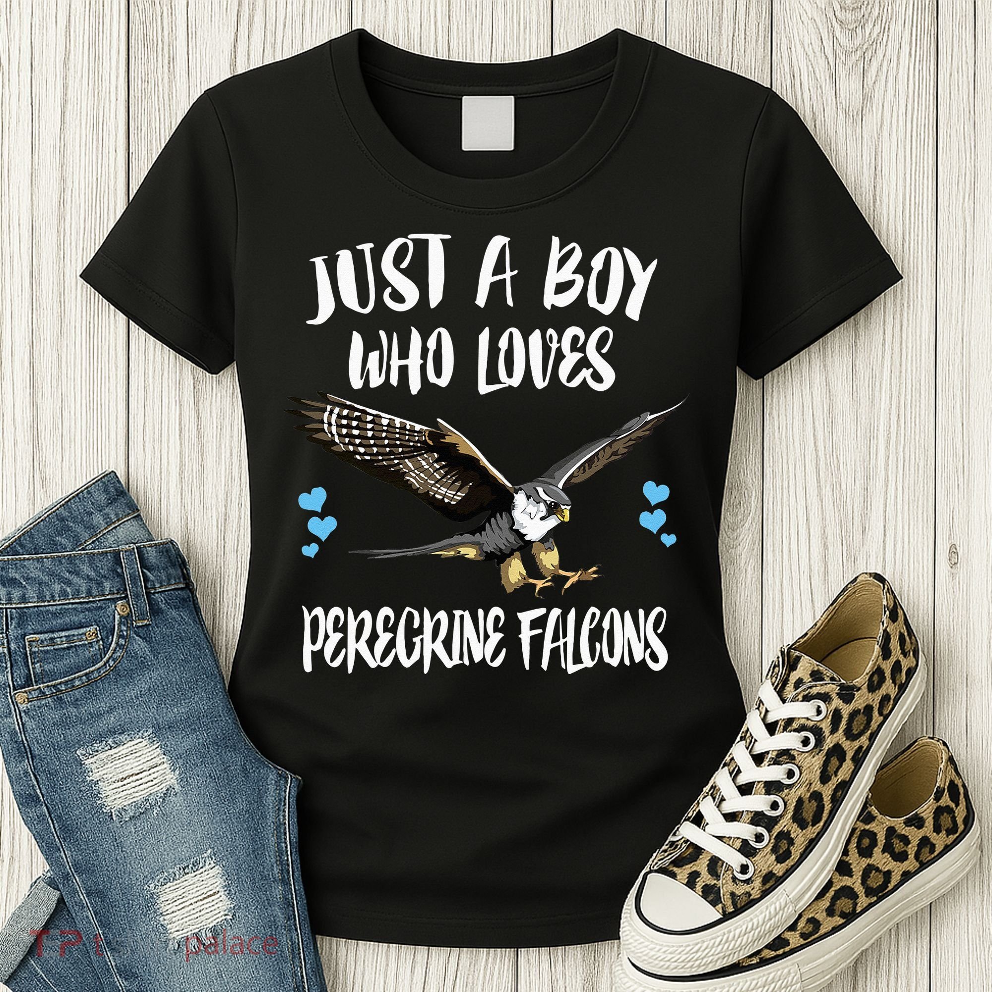 Just A Who Loves Peregrine Falcons Birds Women's T-Shirt