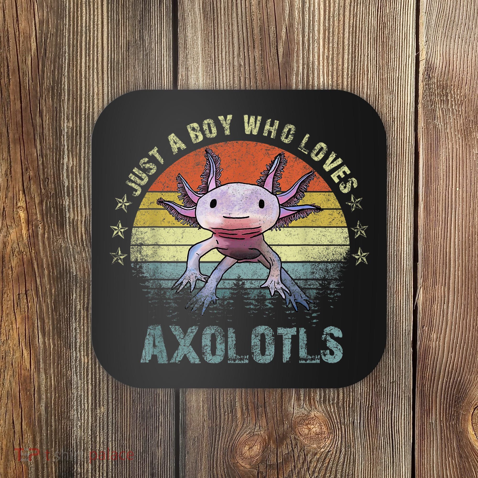Just A  Who Loves Axolotls Funny Axolotl Gift for Boys Coaster