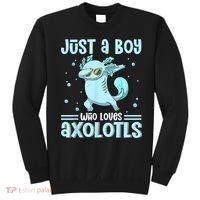 Just A  Who Loves Axolotls Axolotl Lovers Gift Boys Teens Sweatshirt thumb 0