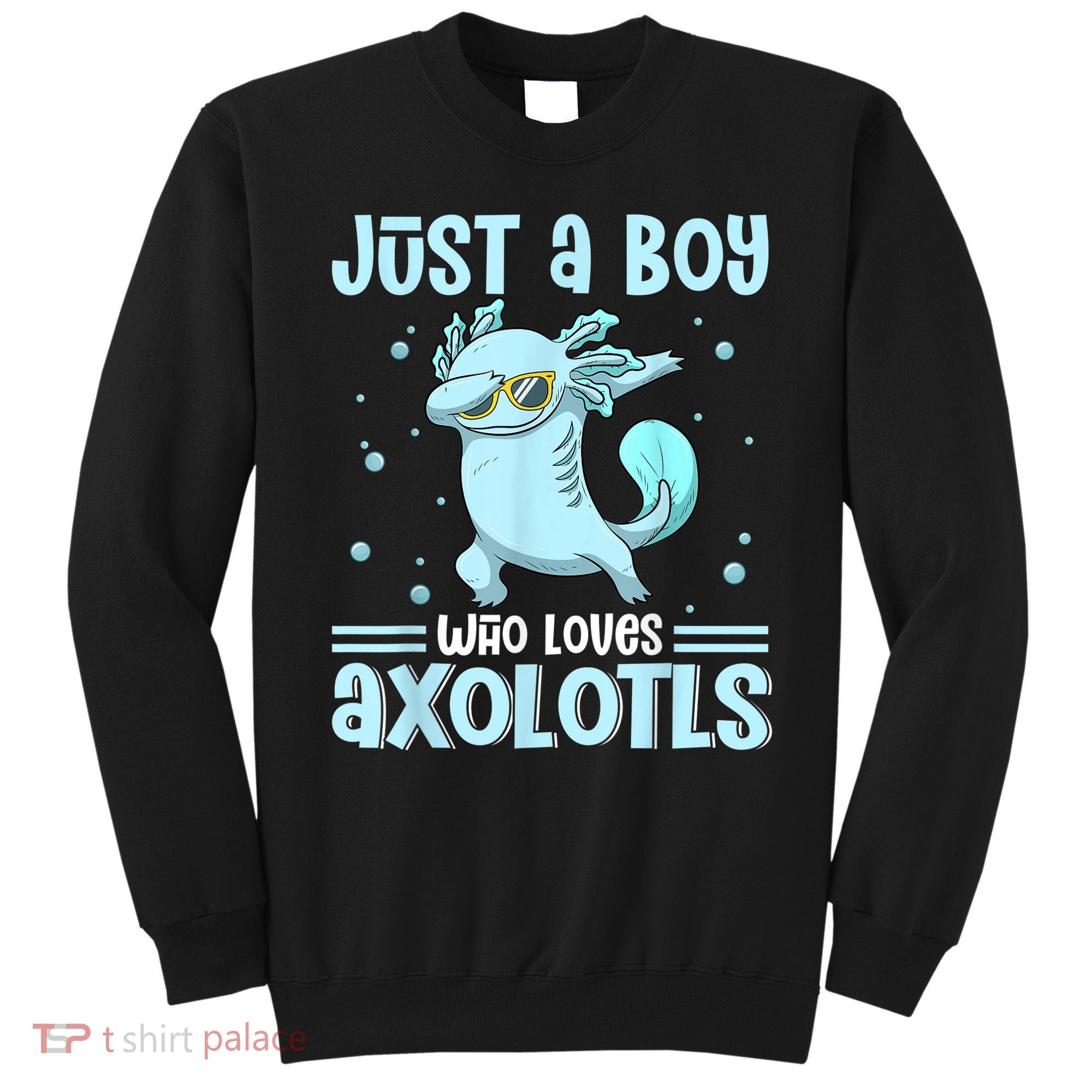 Just A  Who Loves Axolotls Axolotl Lovers Gift Boys Teens Sweatshirt