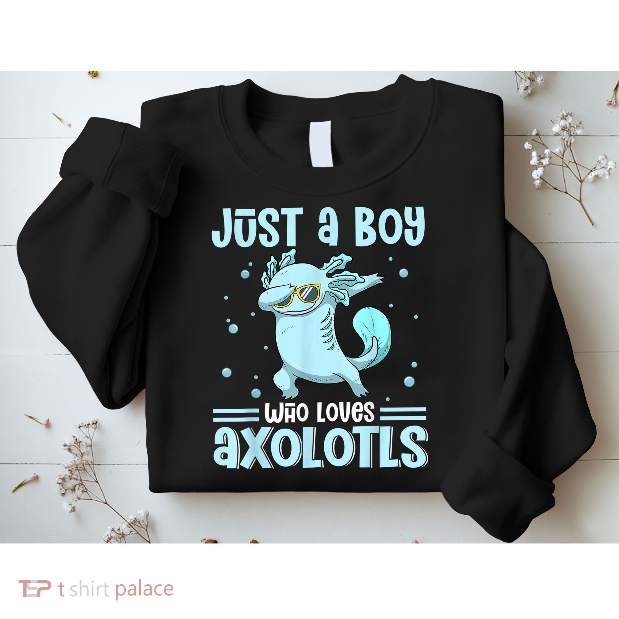 Just A  Who Loves Axolotls Axolotl Lovers Gift Boys Teens Sweatshirt