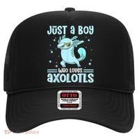 Just A  Who Loves Axolotls Axolotl Lovers Gift Boys Teens Hat thumb 0