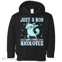 Just A  Who Loves Axolotls Axolotl Lovers Gift Boys Teens Toddler Hoodie thumb 0