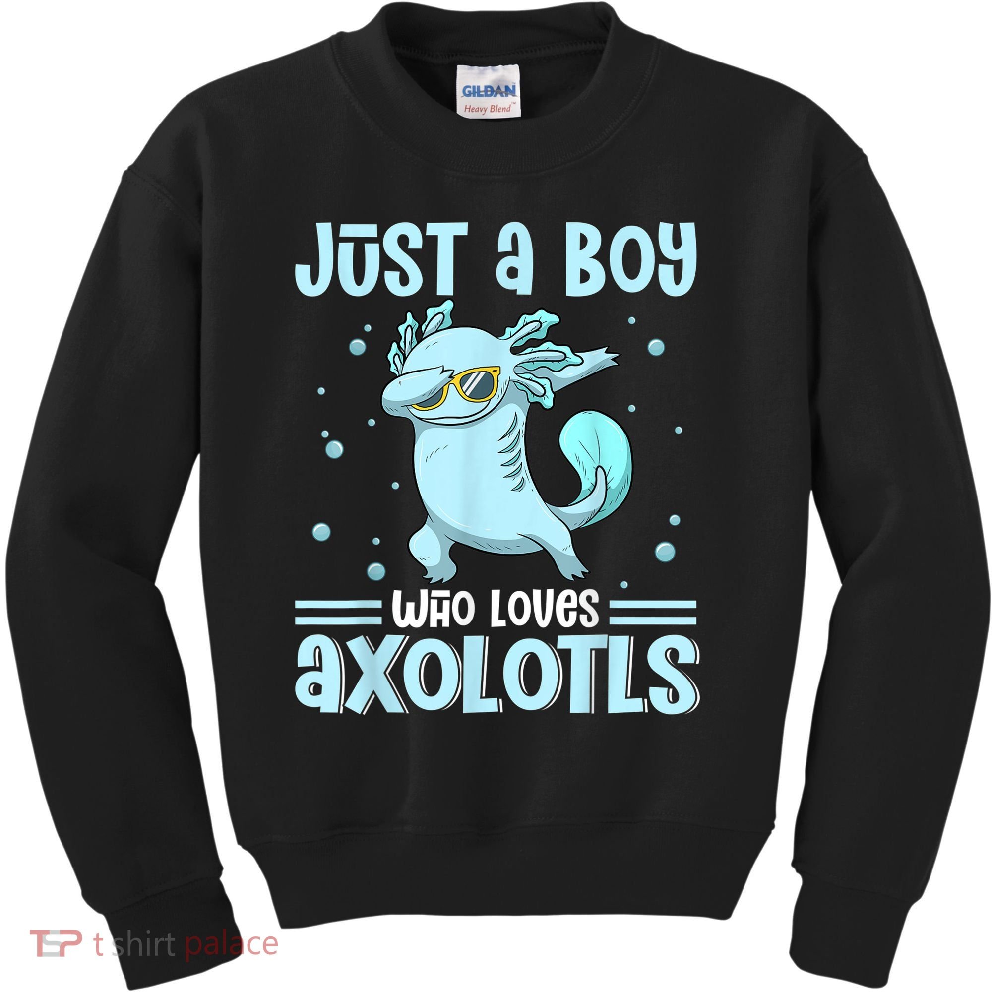 Just A  Who Loves Axolotls Axolotl Lovers Gift Boys Teens Kids Sweatshirt