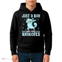 Just A  Who Loves Axolotls Axolotl Lovers Gift Boys Teens Kids Hoodie thumb 4