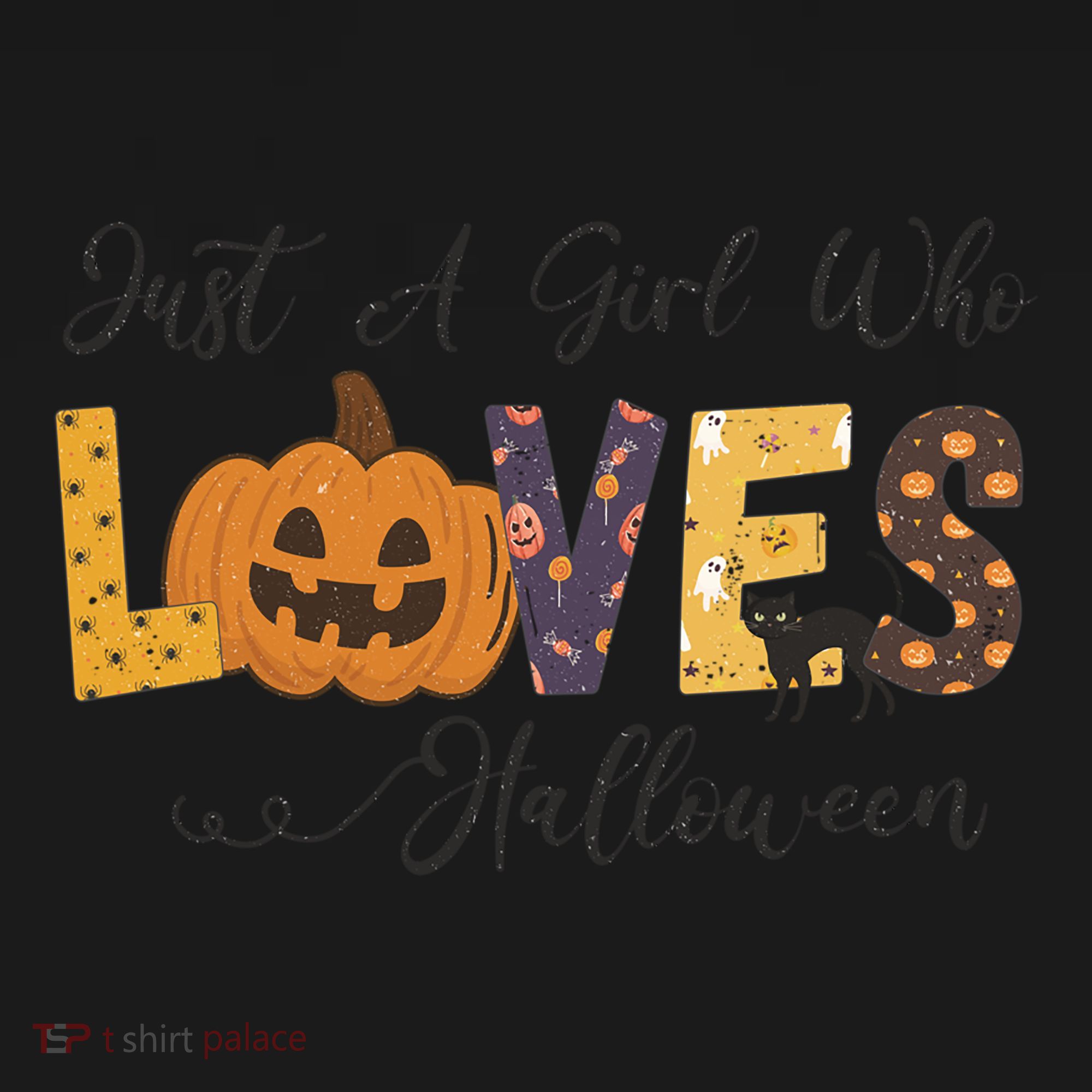 Just A Who Loves Halloween Pumpkin Ghost Black Cat Gift Women's Hoodie