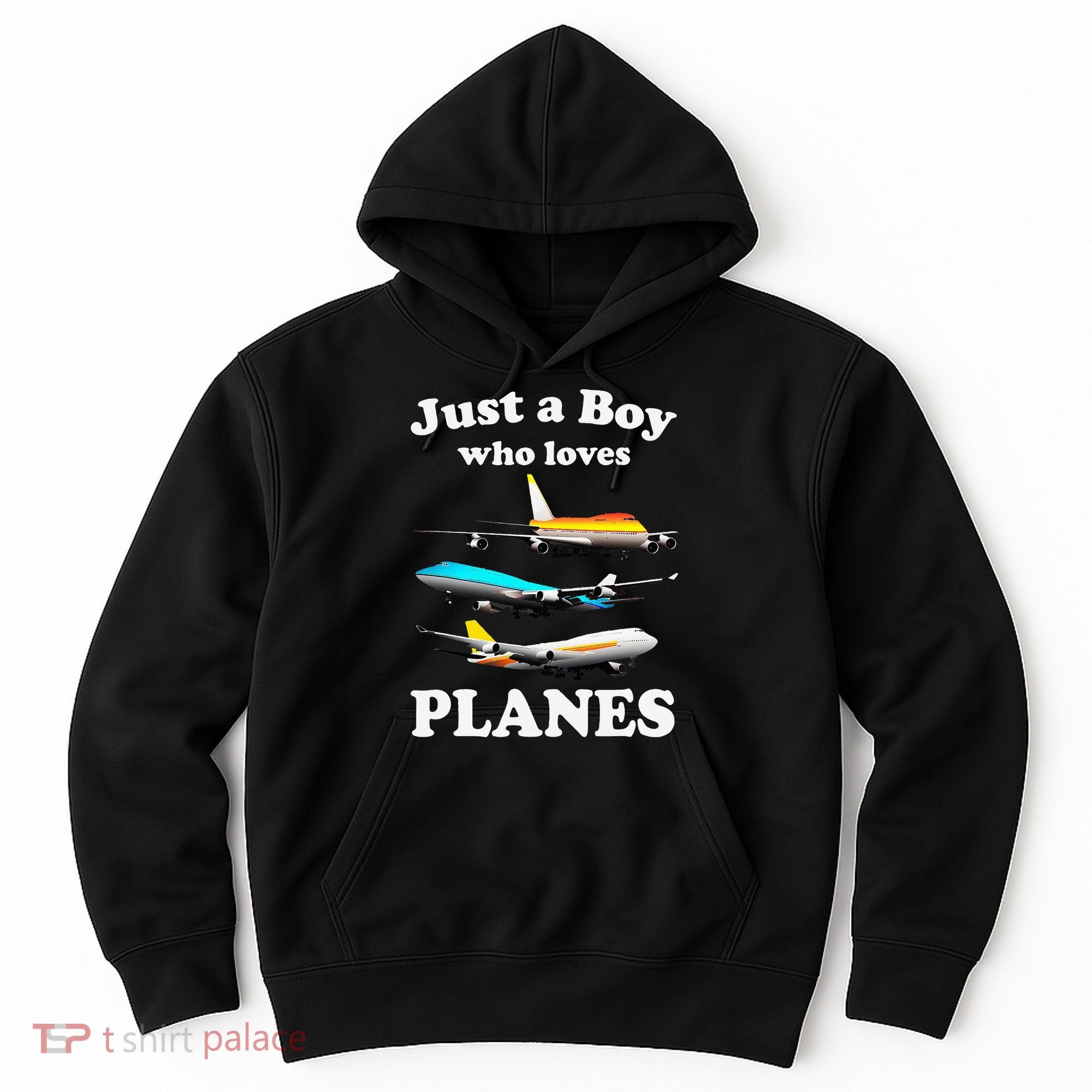 Just A Who Loves Planes Airplane Lover Hoodie