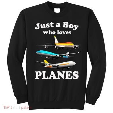 Just A Who Loves Planes Airplane Lover Sweatshirt