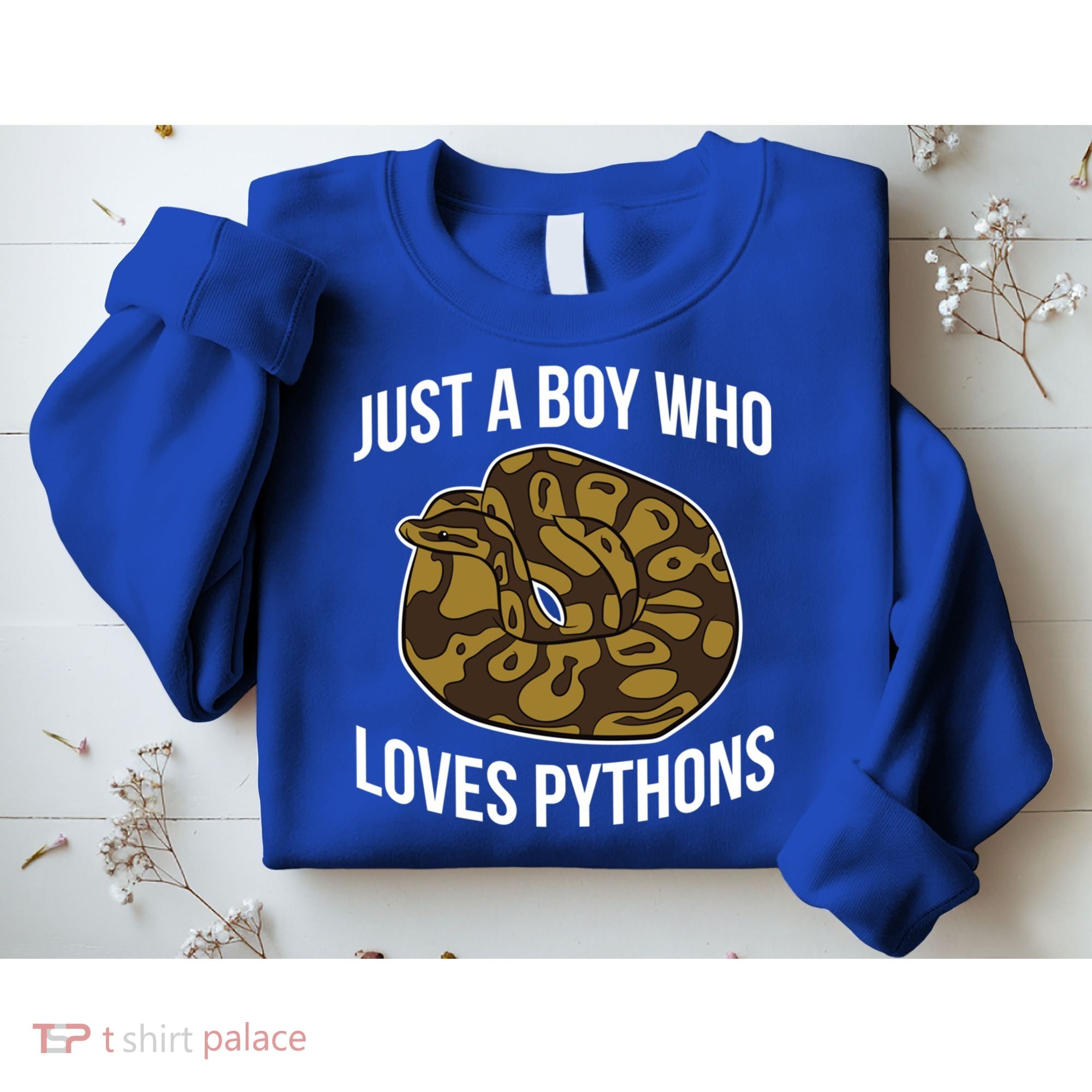 Just A Who Loves Ball Pythons Cute Ball Python Snake Gift Sweatshirt
