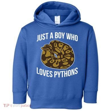 Just A Who Loves Ball Pythons Cute Ball Python Snake Gift Toddler Hoodie