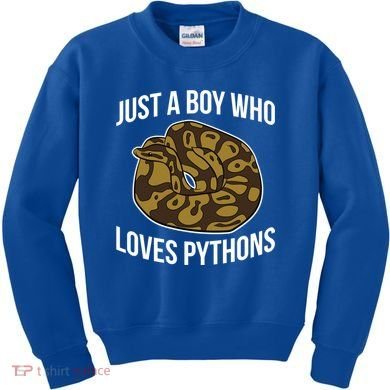 Just A Who Loves Ball Pythons Cute Ball Python Snake Gift Kids Sweatshirt