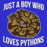 Just A Who Loves Ball Pythons Cute Ball Python Snake Gift Kids T-Shirt thumb 4
