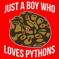 Just A Who Loves Ball Pythons Cute Ball Python Snake Gift Santa Hat thumb 1