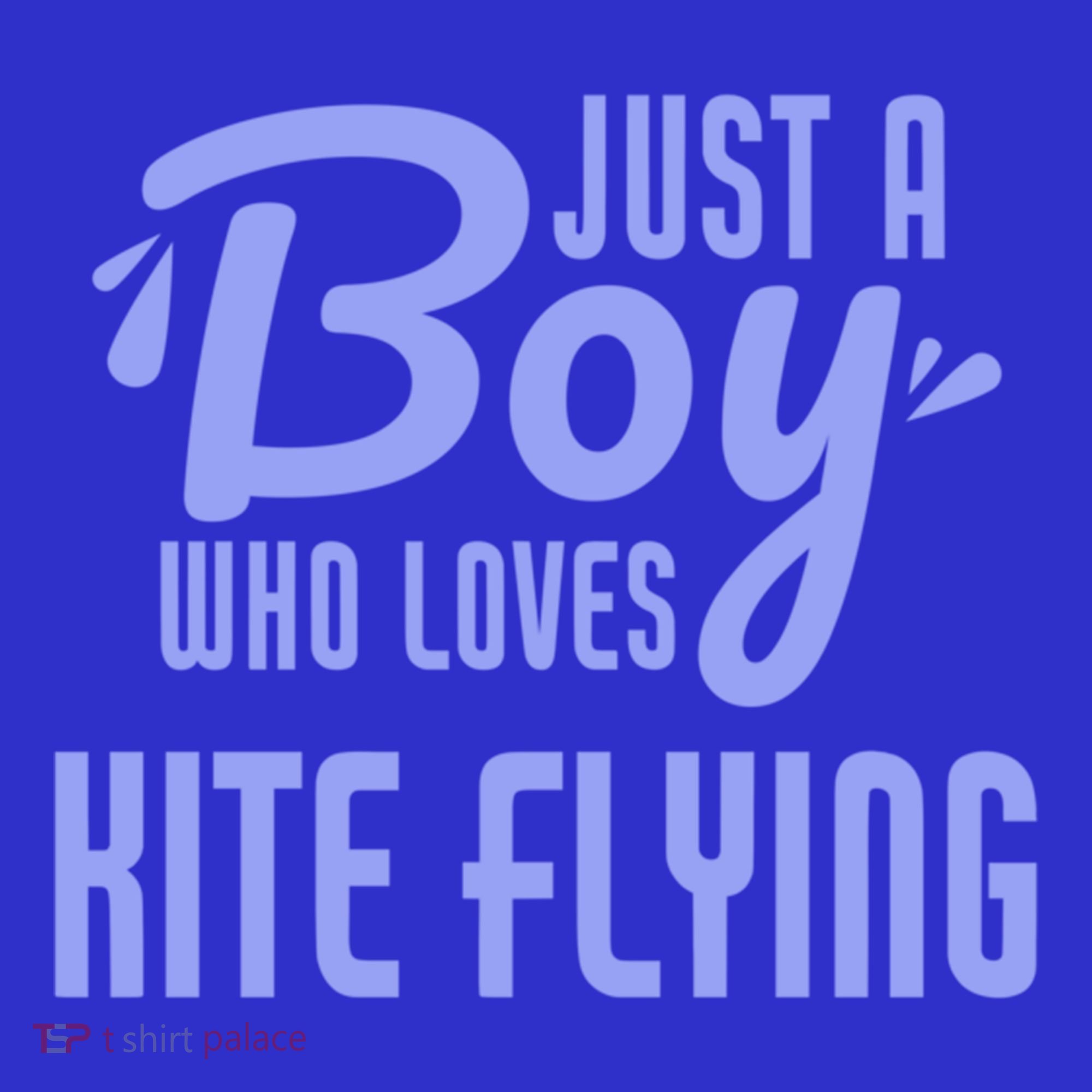 Just A Who Loves Kite Flying Funny Kite Flyer Cool Gift Sweatshirt