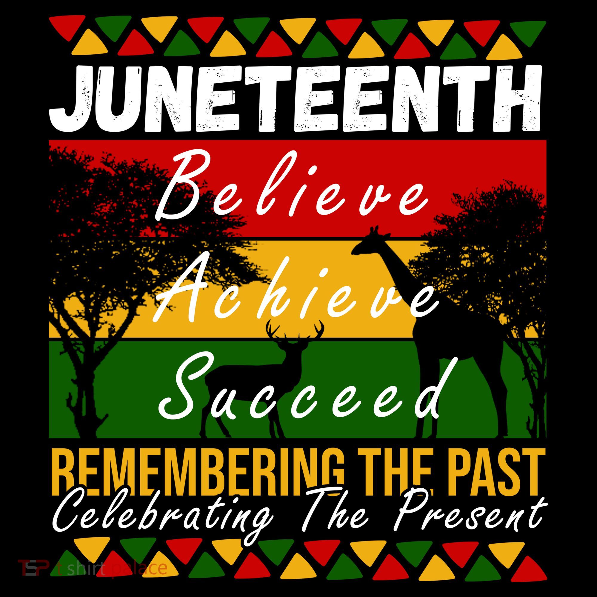 Juneteenth Believe Achieve Succeed Africa T-Shirt