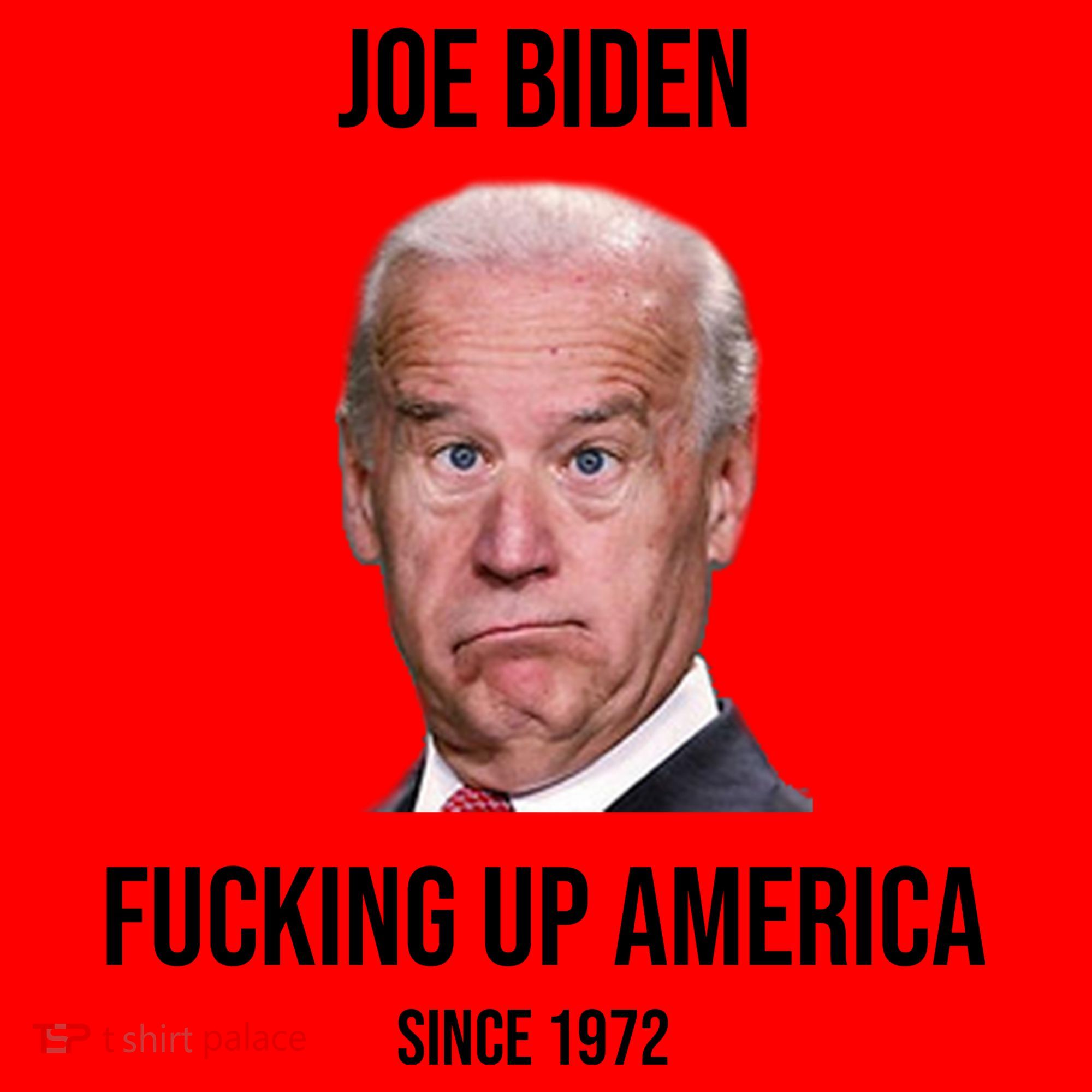 Joe Biden F*cking Up America Since 1972 Santa Hat