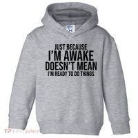 Just Because I'm Awake Doesn't Mean I'm Ready To Do Things Funny Toddler Hoodie thumb 0