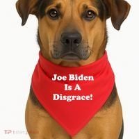 Joe Biden Is A Disgrace USA-Made Doggie Bandana thumb 1