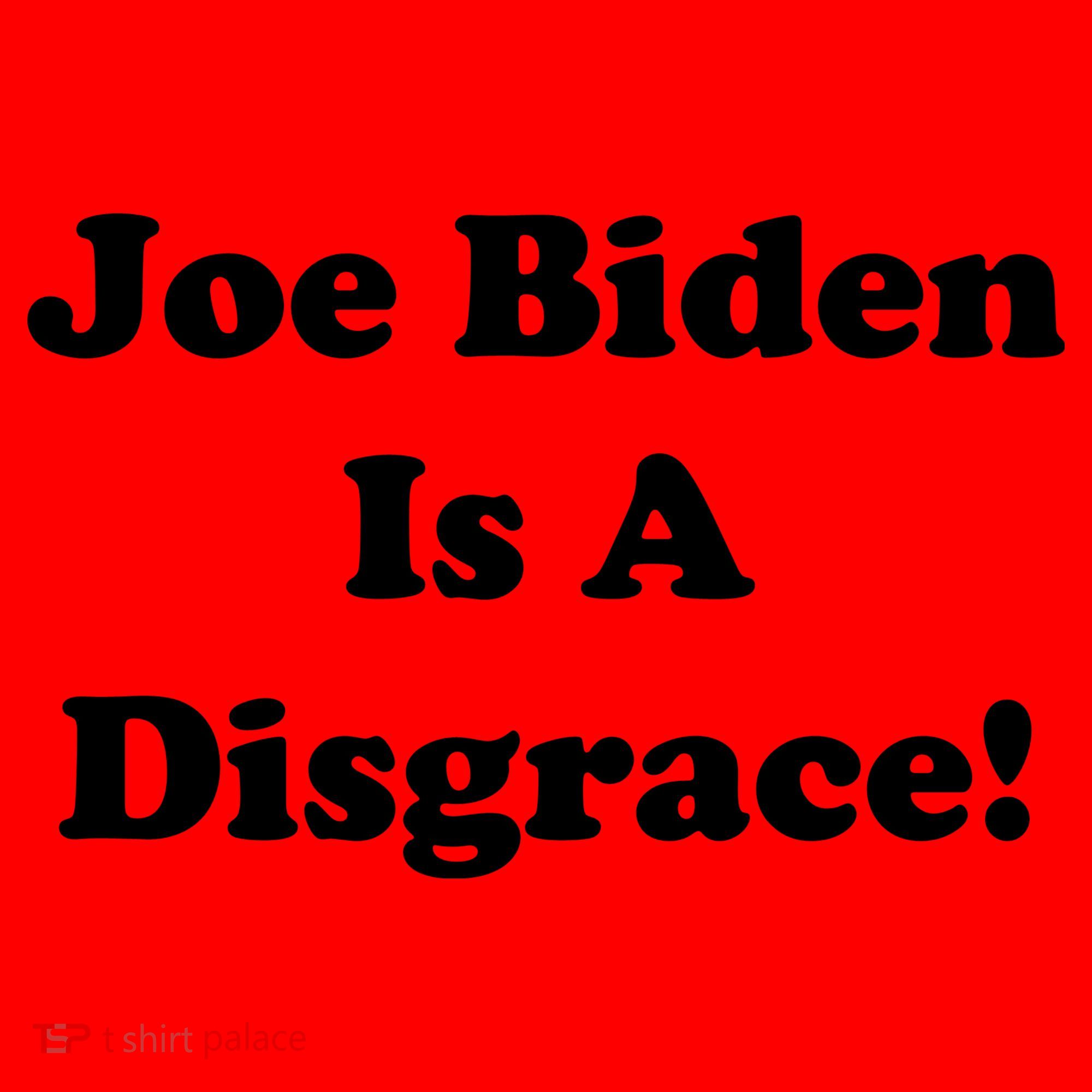Joe Biden Is A Disgrace Santa Hat