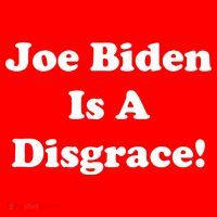 Joe Biden Is A Disgrace Toddler Hoodie thumb 2