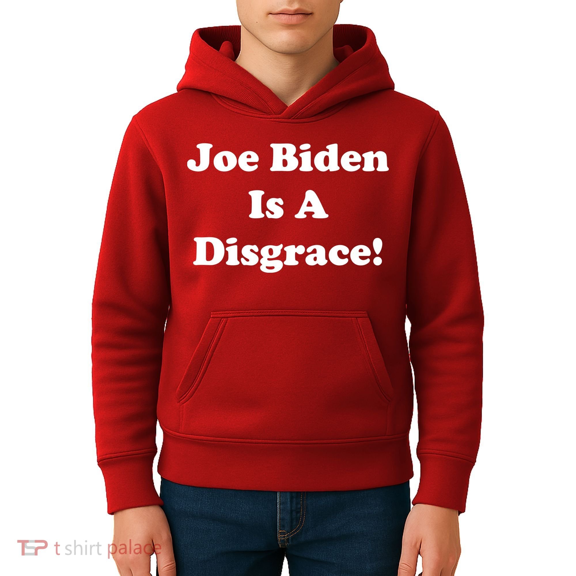 Joe Biden Is A Disgrace Kids Hoodie