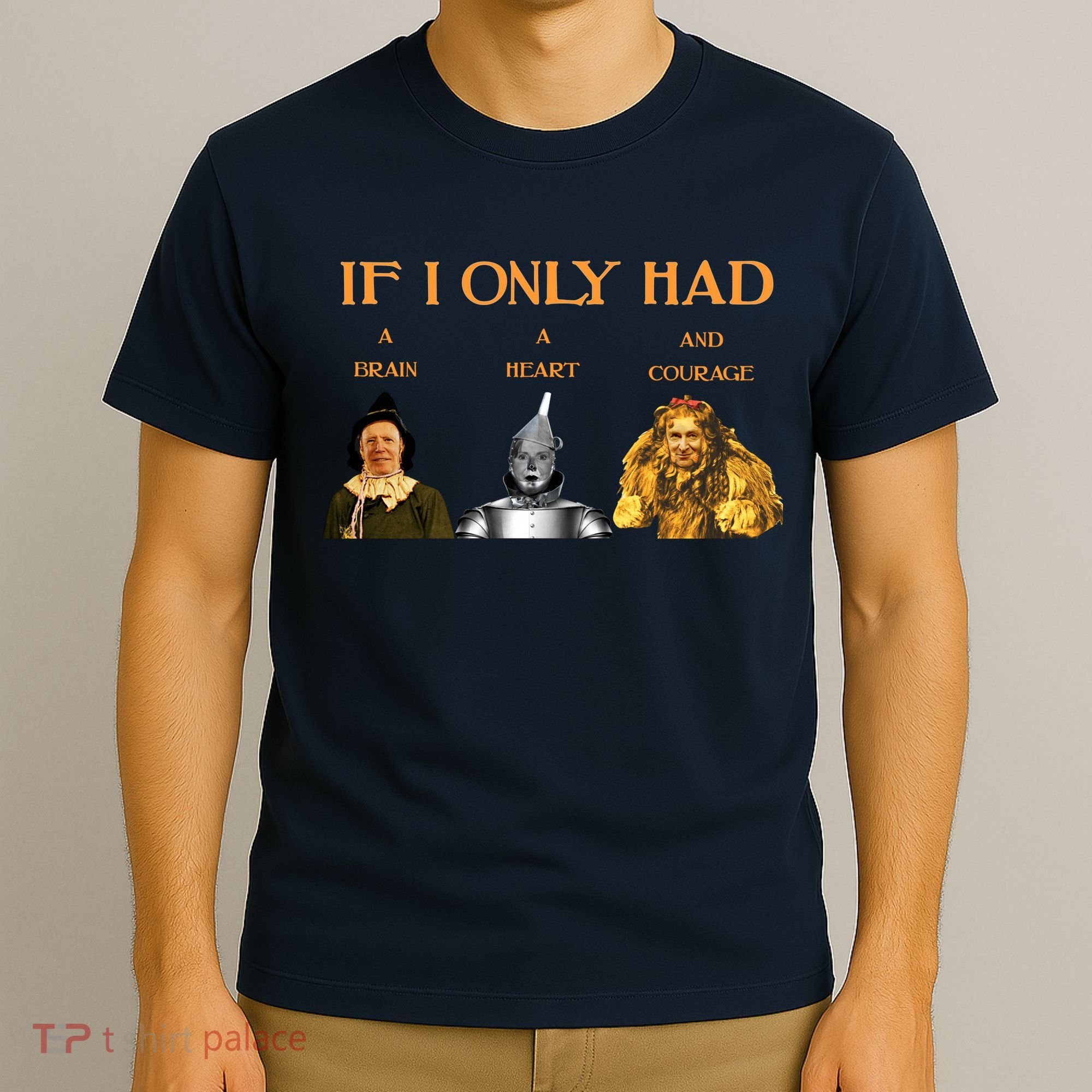 Joe Biden Nancy Pelosi Chuck Schumer Scarecrow Tin Woodman Lion T-Shirt