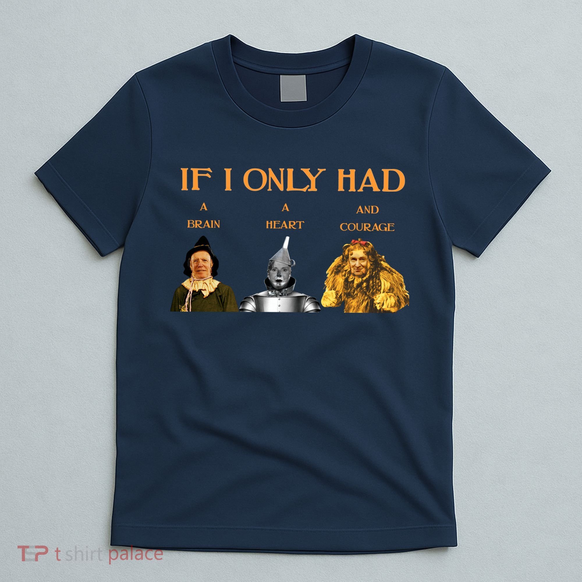 Joe Biden Nancy Pelosi Chuck Schumer Scarecrow Tin Woodman Lion T-Shirt