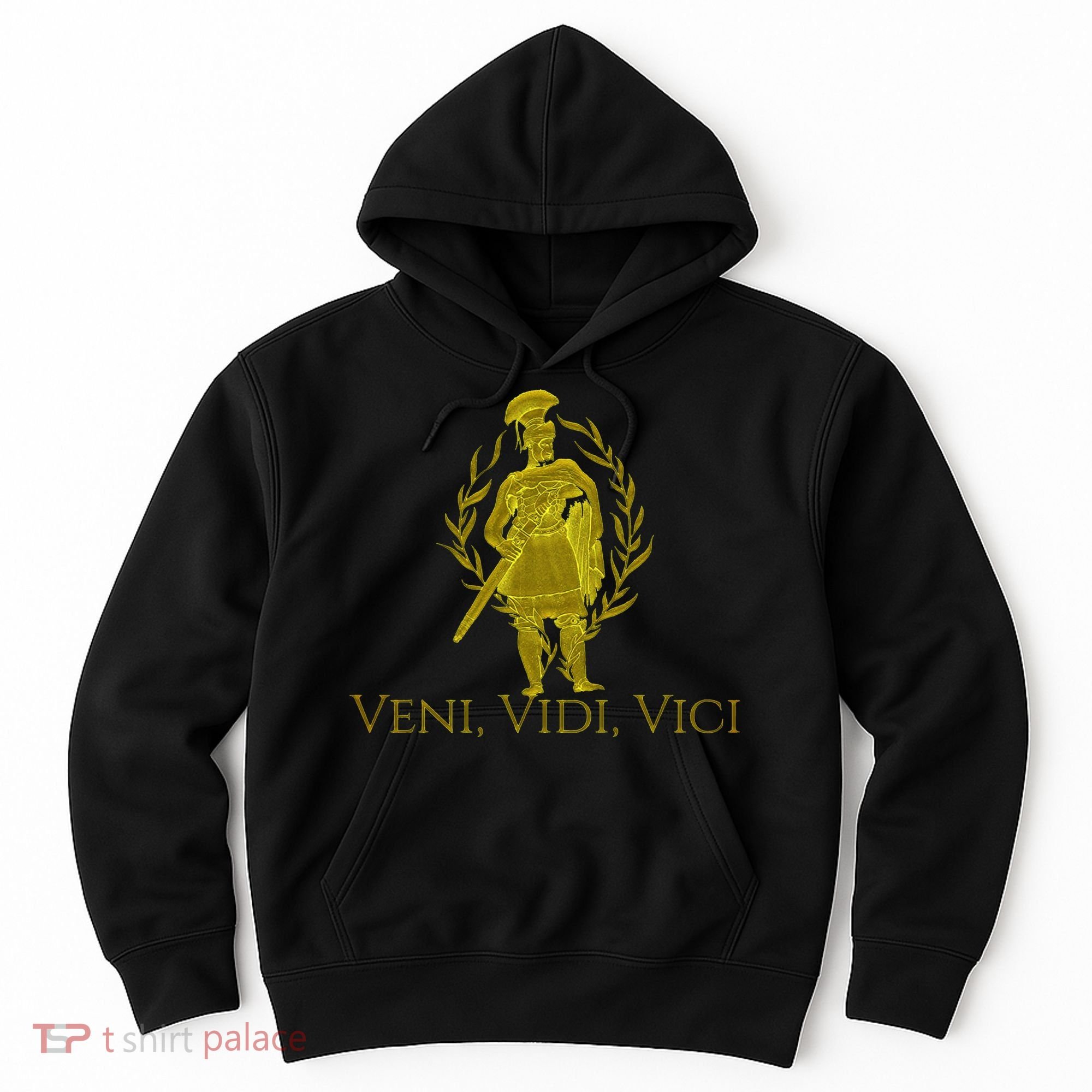 Julius Caesar Ancient Rome Veni Vidi Vici Hoodie