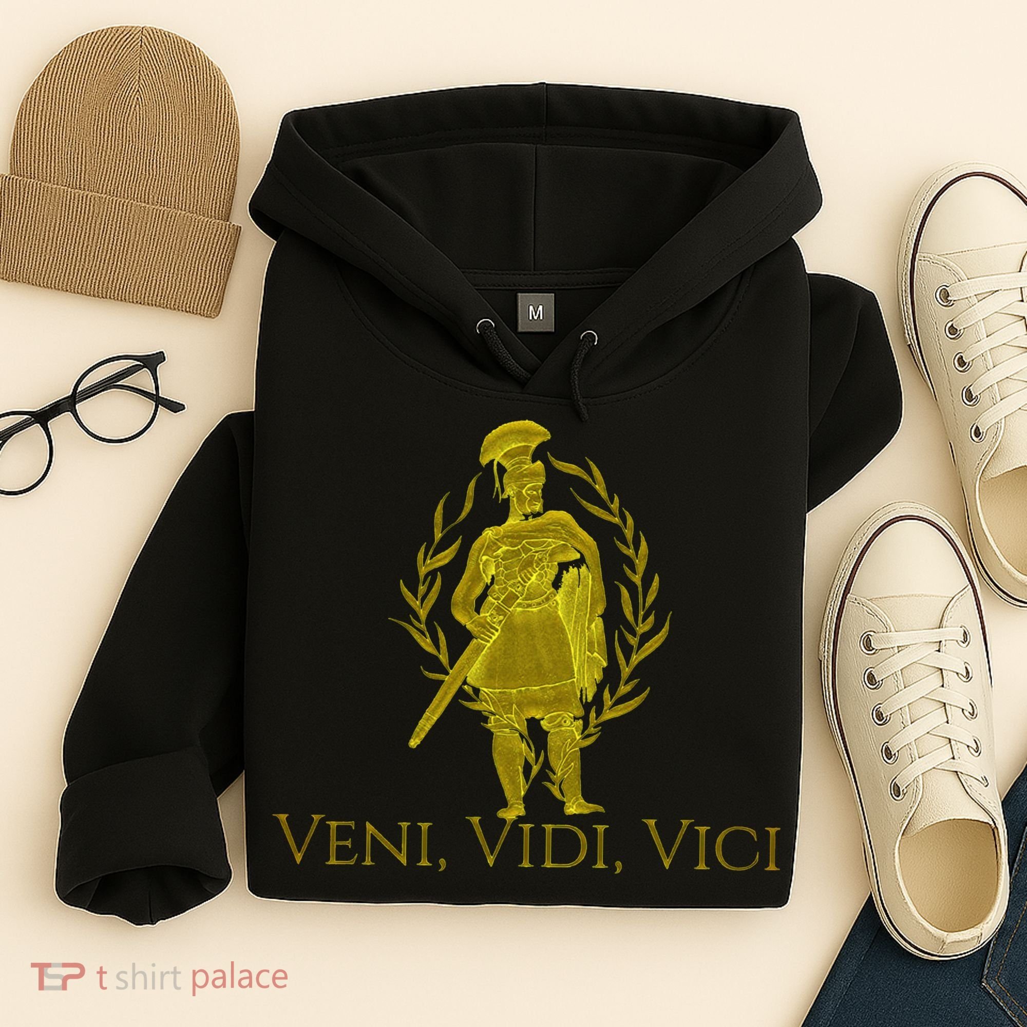 Julius Caesar Ancient Rome Veni Vidi Vici Hoodie
