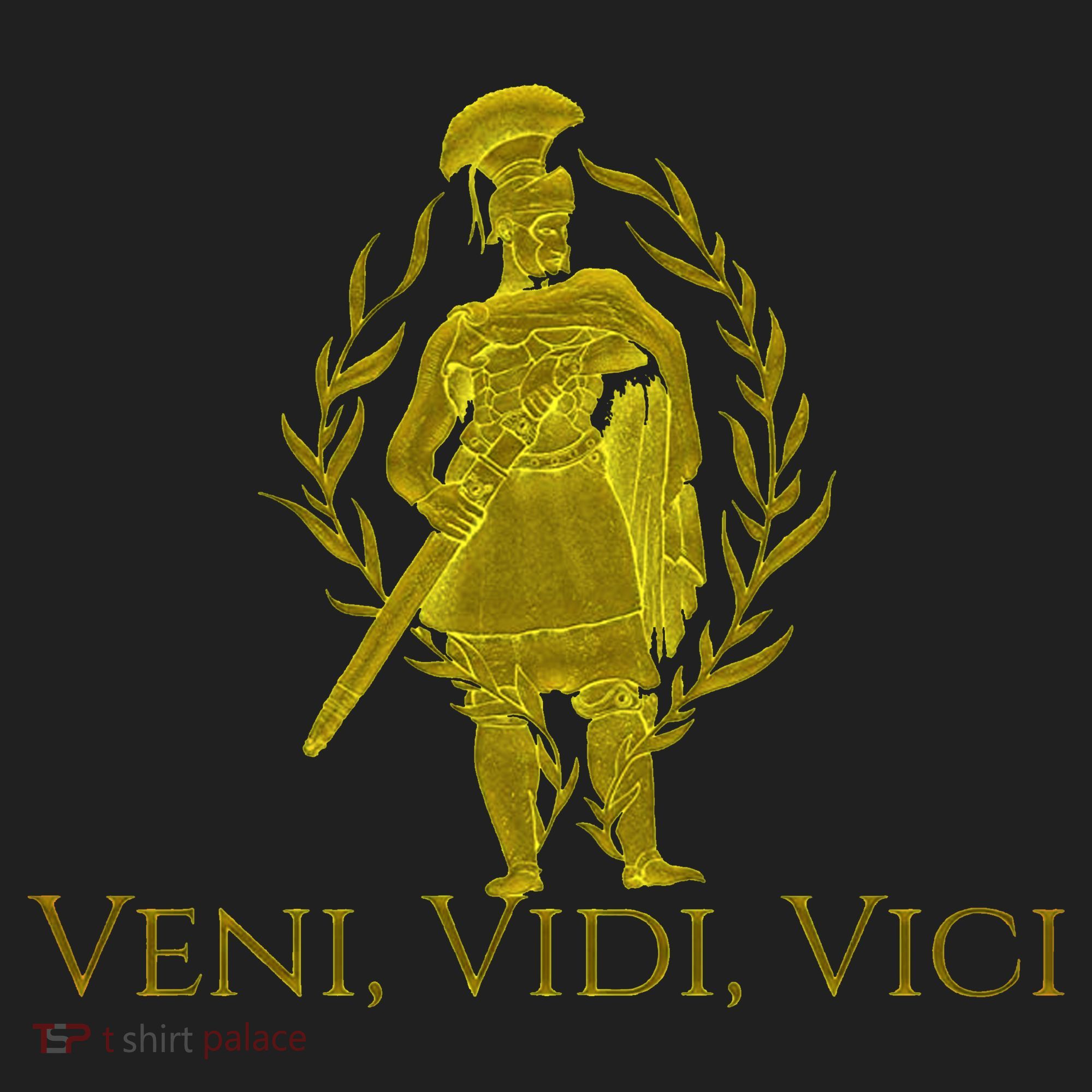 Julius Caesar Ancient Rome Veni Vidi Vici Hat