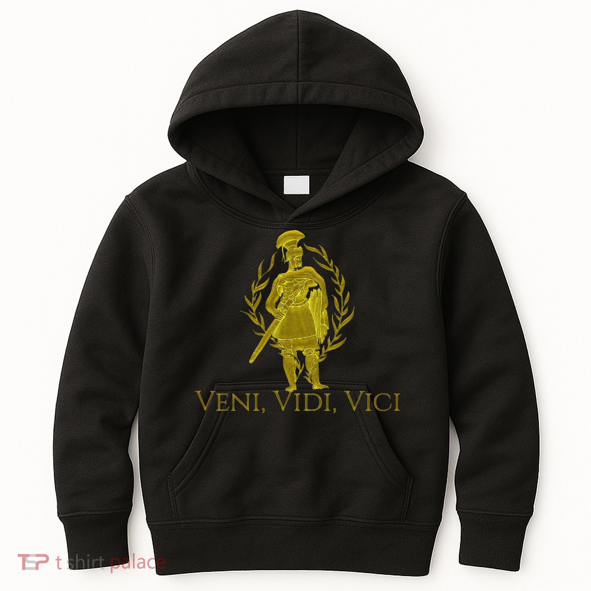 Julius Caesar Ancient Rome Veni Vidi Vici Kids Hoodie