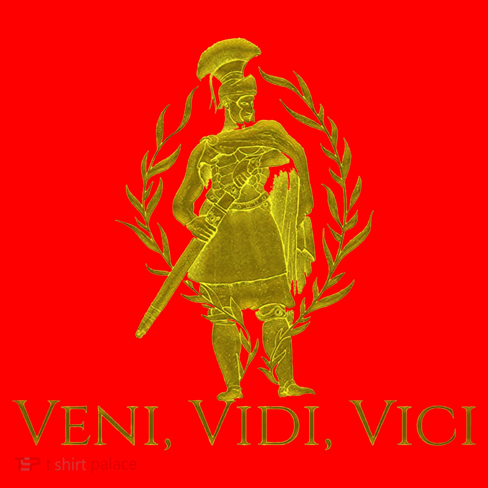 Julius Caesar Ancient Rome Veni Vidi Vici Santa Hat