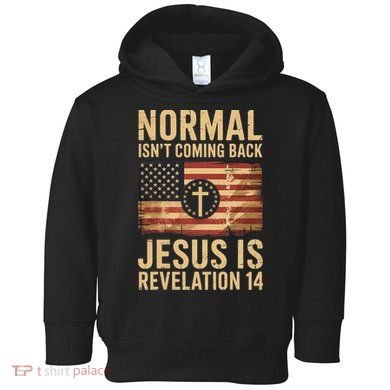 Jesus Christian American Flag Revelation 14 USA Toddler Hoodie