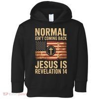 Jesus Christian American Flag Revelation 14 USA Toddler Hoodie thumb 0