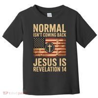 Jesus Christian American Flag Revelation 14 USA Toddler T-Shirt thumb 0