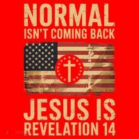 Jesus Christian American Flag Revelation 14 USA Santa Hat thumb 1