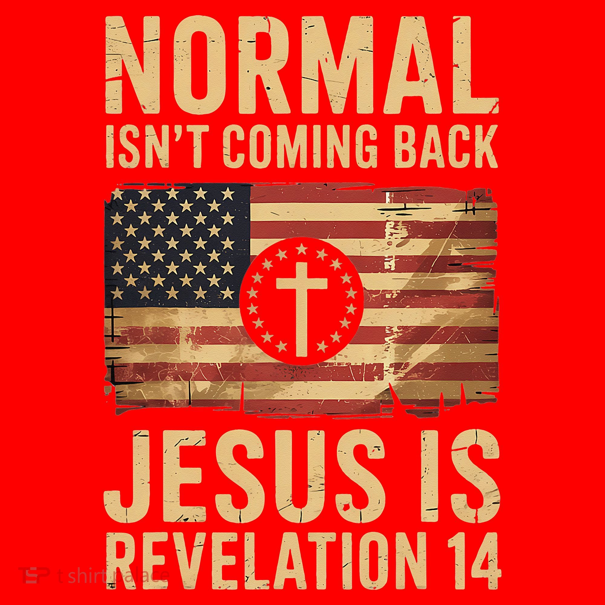 Jesus Christian American Flag Revelation 14 USA Santa Hat