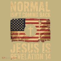Jesus Christian American Flag Revelation 14 USA Sweatshirt thumb 2
