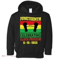 Juneteenth Celebrating Black Freedom 1865 Flag Toddler Hoodie thumb 0