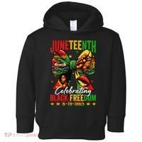 Juneteenth Celebrating Black Freedom 1865 African American Toddler Hoodie thumb 0