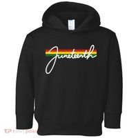 Juneteenth Cool Black History Toddler Hoodie thumb 0