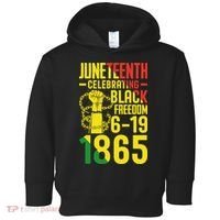 Juneteenth Celebrating Black Freedom 6-19-1865 Toddler Hoodie thumb 0