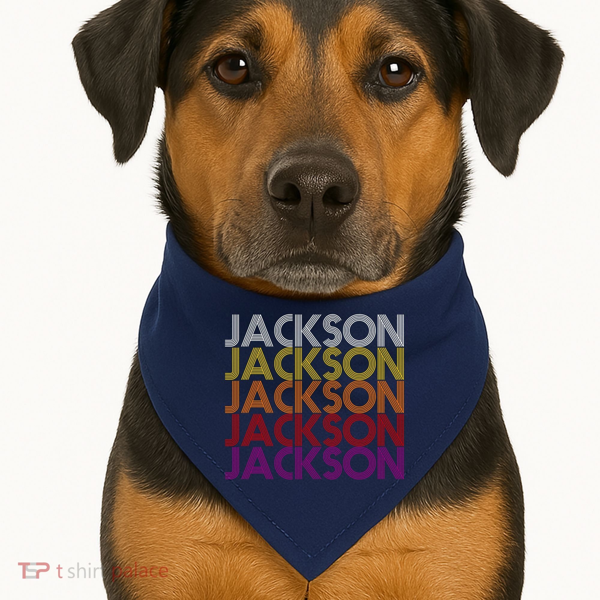 Jackson City Retro USA-Made Doggie Bandana