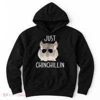 JUST CHINCHILLIN TSHIRT, CHINCHILLA, BRO, RELAXING, CHILLIN Hoodie thumb 0