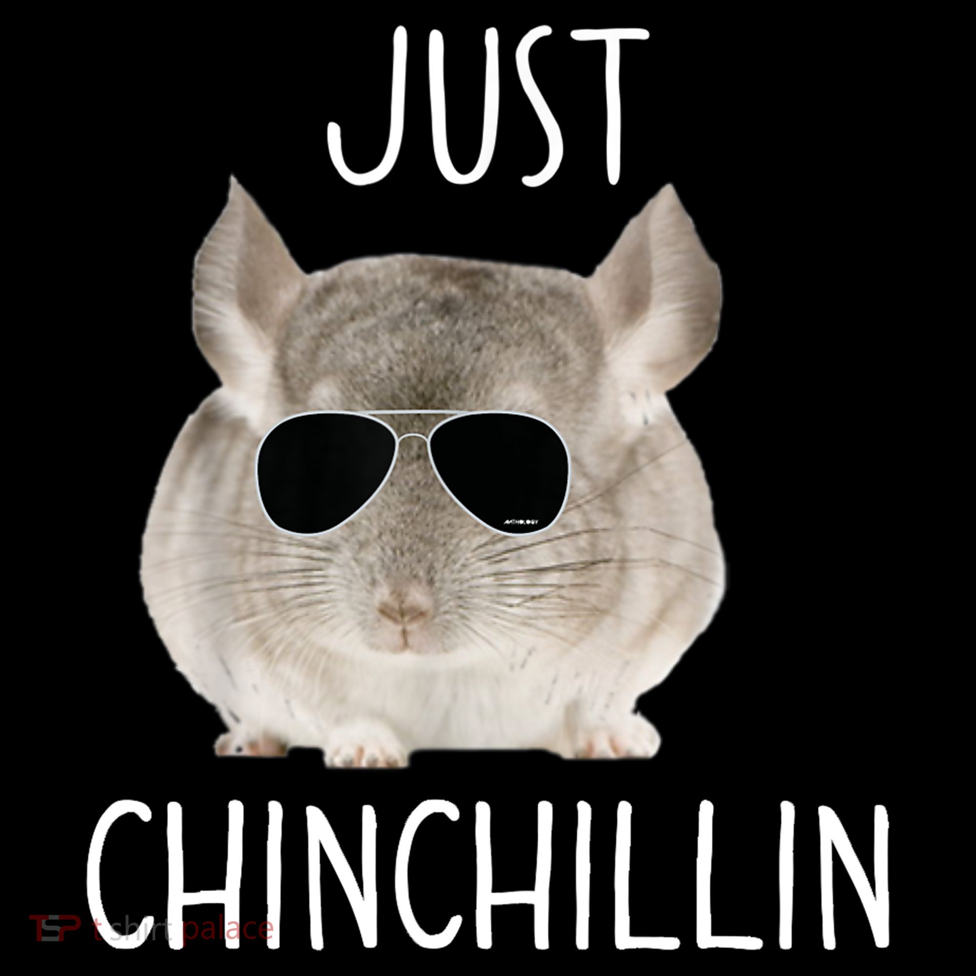 JUST CHINCHILLIN TSHIRT, CHINCHILLA, BRO, RELAXING, CHILLIN Women's Hoodie