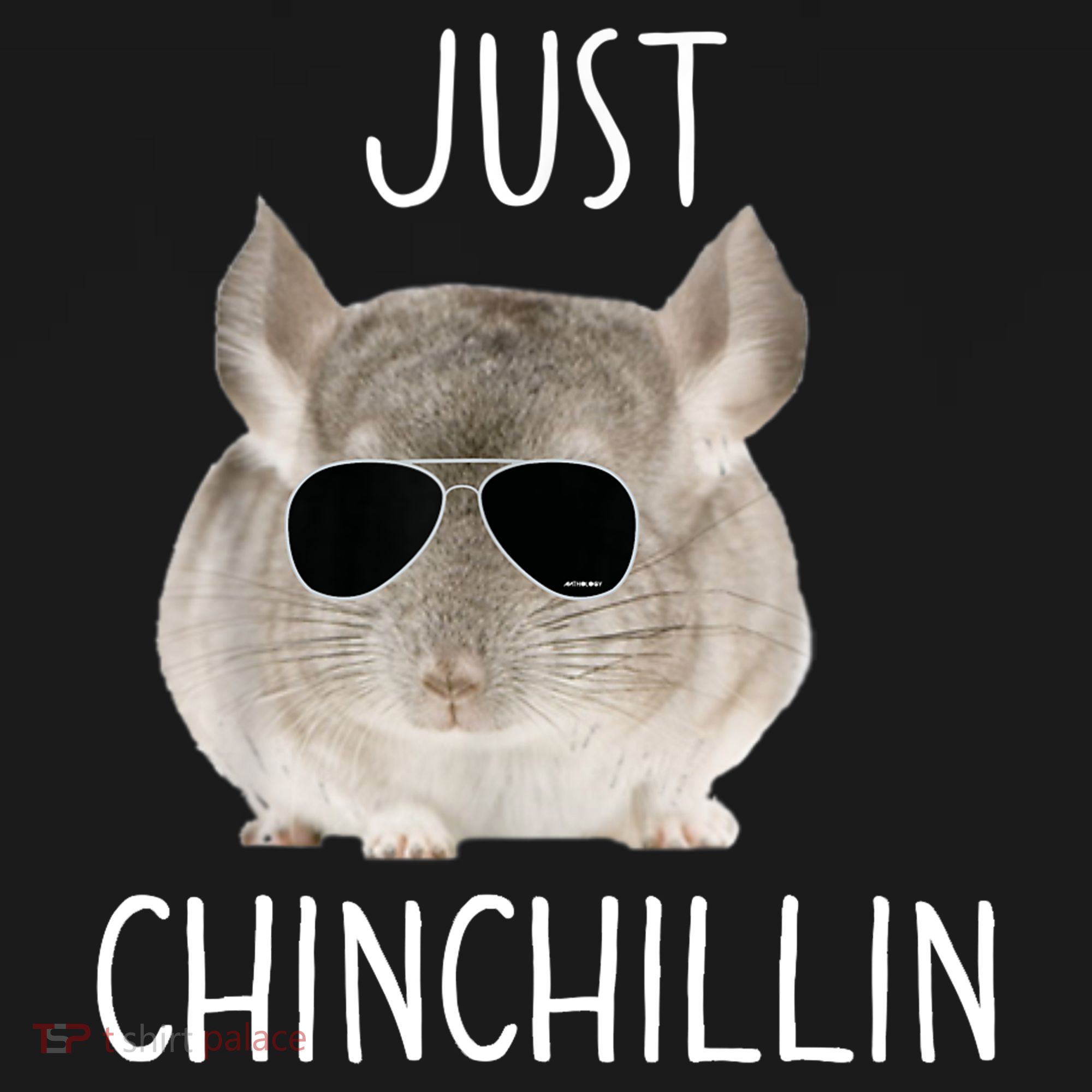 JUST CHINCHILLIN TSHIRT, CHINCHILLA, BRO, RELAXING, CHILLIN Mousepad